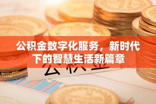 龙陵公积金数字化服务，新时代下的智慧生活新篇章