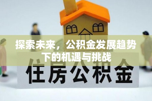 龙陵探索未来，公积金发展趋势下的机遇与挑战