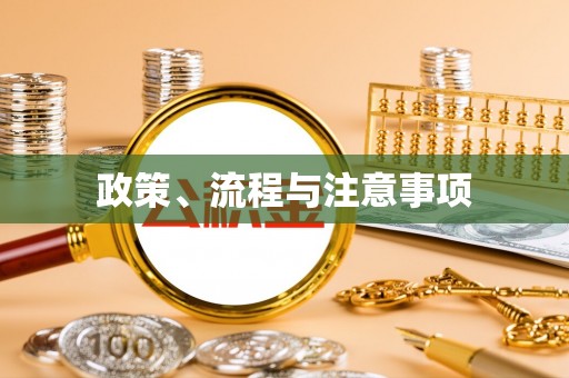 龙陵政策、流程与注意事项