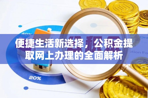 龙陵便捷生活新选择，公积金提取网上办理的全面解析