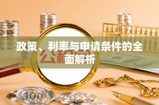 龙陵政策、利率与申请条件的全面解析