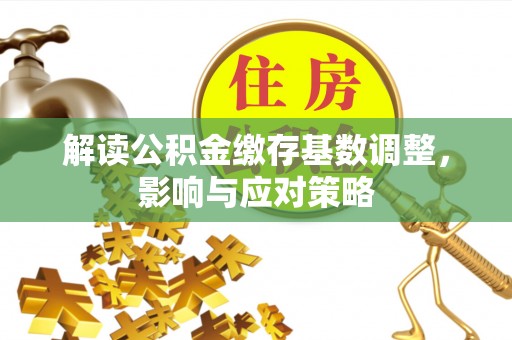 龙陵解读公积金缴存基数调整，影响与应对策略