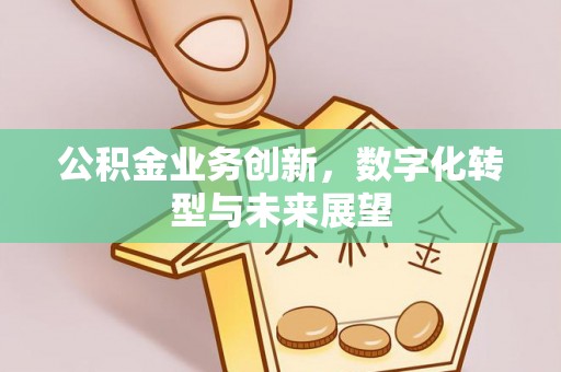 龙陵公积金业务创新，数字化转型与未来展望