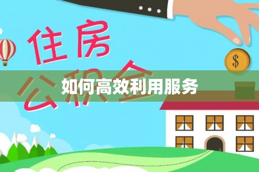 龙陵如何高效利用服务