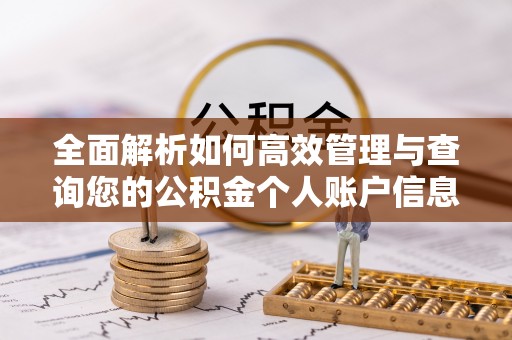 龙陵全面解析如何高效管理与查询您的公积金个人账户信息