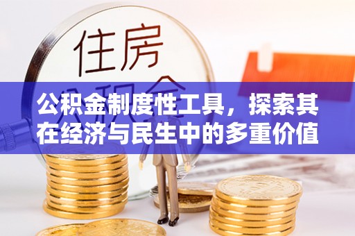 龙陵公积金制度性工具，探索其在经济与民生中的多重价值