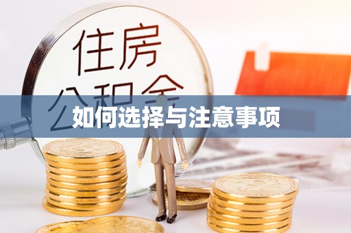 龙陵如何选择与注意事项
