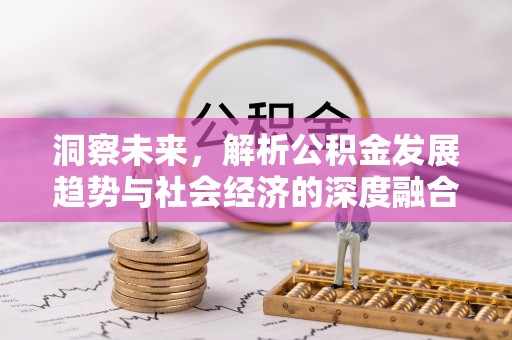 龙陵洞察未来，解析公积金发展趋势与社会经济的深度融合