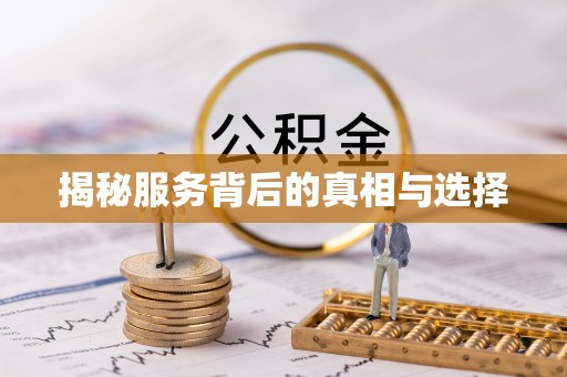龙陵揭秘服务背后的真相与选择