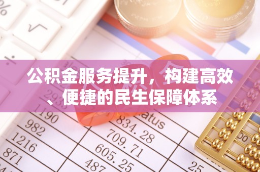 龙陵公积金服务提升，构建高效、便捷的民生保障体系