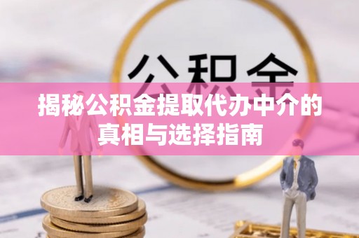 龙陵揭秘公积金提取代办中介的真相与选择指南
