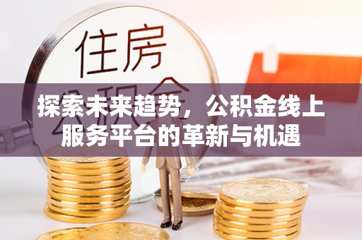 龙陵探索未来趋势，公积金线上服务平台的革新与机遇