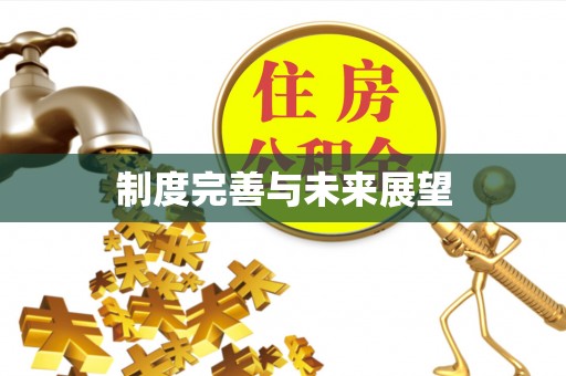 龙陵制度完善与未来展望
