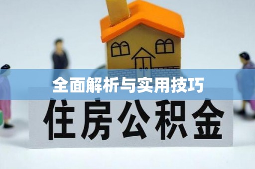 龙陵全面解析与实用技巧
