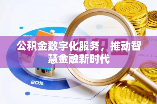 龙陵公积金数字化服务，推动智慧金融新时代