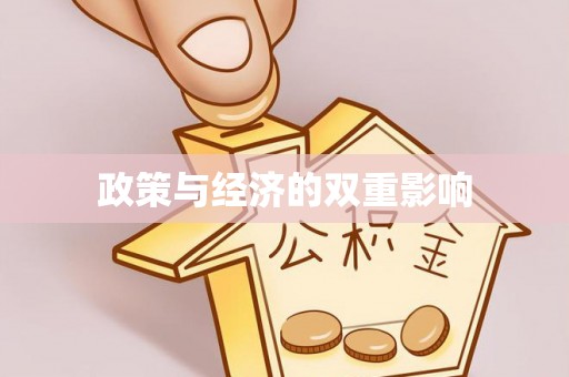 龙陵政策与经济的双重影响
