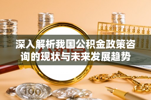 龙陵深入解析我国公积金政策咨询的现状与未来发展趋势