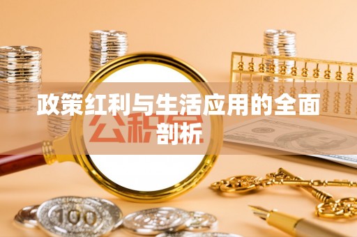 龙陵政策红利与生活应用的全面剖析
