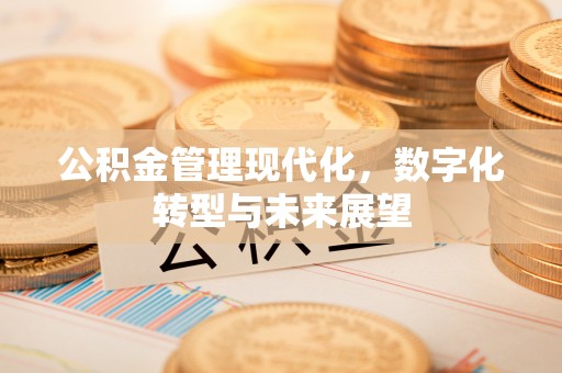龙陵公积金管理现代化，数字化转型与未来展望
