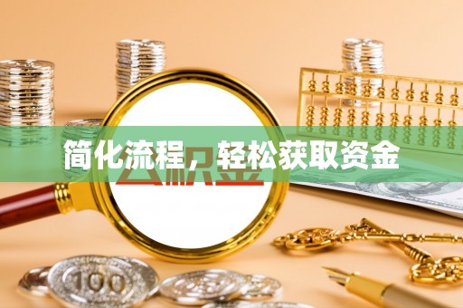 龙陵简化流程，轻松获取资金