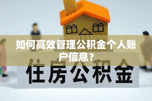 龙陵如何高效管理公积金个人账户信息？