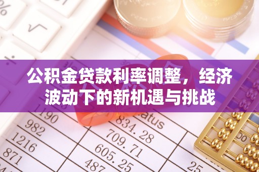 龙陵公积金贷款利率调整，经济波动下的新机遇与挑战