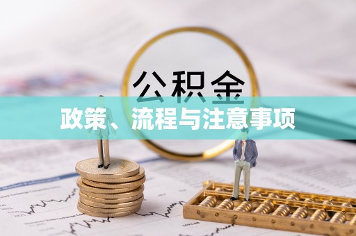 龙陵政策、流程与注意事项