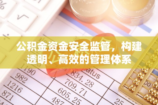 龙陵公积金资金安全监管，构建透明、高效的管理体系