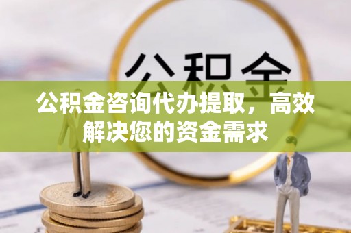 龙陵公积金咨询代办提取，高效解决您的资金需求