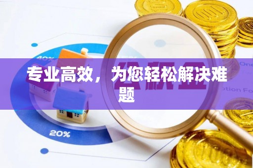 龙陵专业高效，为您轻松解决难题