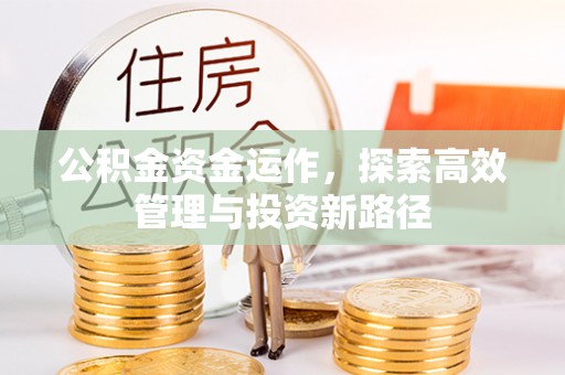 龙陵公积金资金运作，探索高效管理与投资新路径