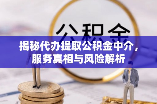 龙陵揭秘代办提取公积金中介，服务真相与风险解析