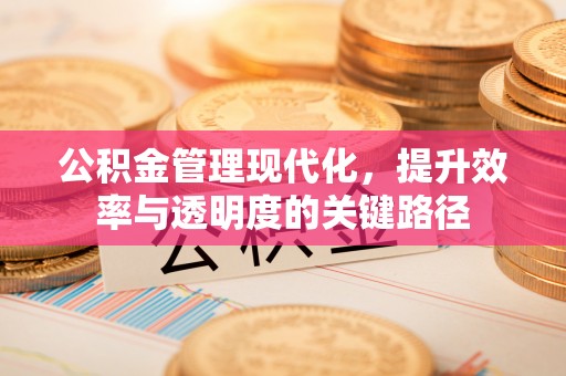 龙陵公积金管理现代化，提升效率与透明度的关键路径