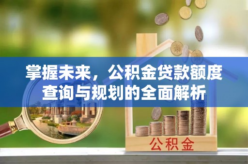 龙陵掌握未来，公积金贷款额度查询与规划的全面解析