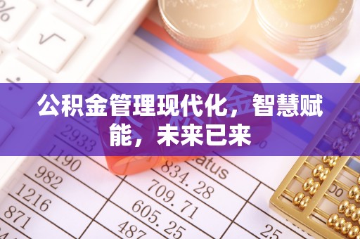 龙陵公积金管理现代化，智慧赋能，未来已来