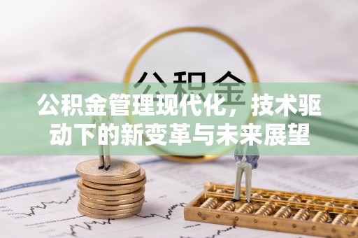 龙陵公积金管理现代化，技术驱动下的新变革与未来展望