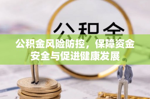 龙陵公积金风险防控，保障资金安全与促进健康发展