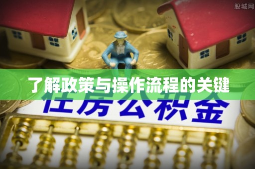 龙陵了解政策与操作流程的关键