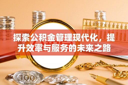 龙陵探索公积金管理现代化，提升效率与服务的未来之路