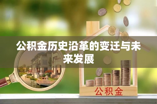 龙陵公积金历史沿革的变迁与未来发展