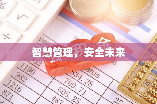 龙陵智慧管理，安全未来