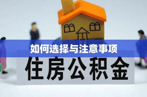 龙陵如何选择与注意事项