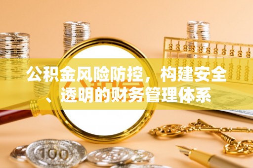 龙陵公积金风险防控，构建安全、透明的财务管理体系