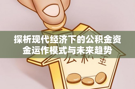 龙陵探析现代经济下的公积金资金运作模式与未来趋势