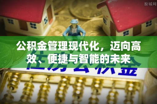 龙陵公积金管理现代化，迈向高效、便捷与智能的未来