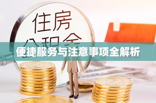 龙陵便捷服务与注意事项全解析