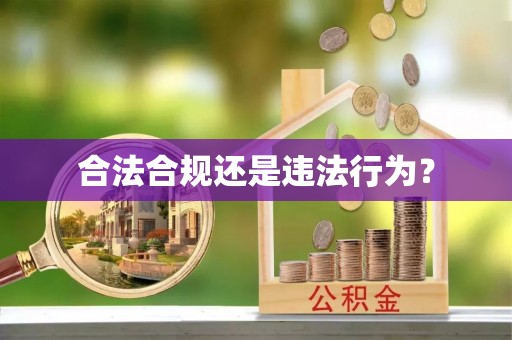 龙陵合法合规还是违法行为？