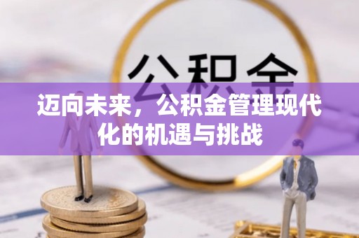 龙陵迈向未来，公积金管理现代化的机遇与挑战