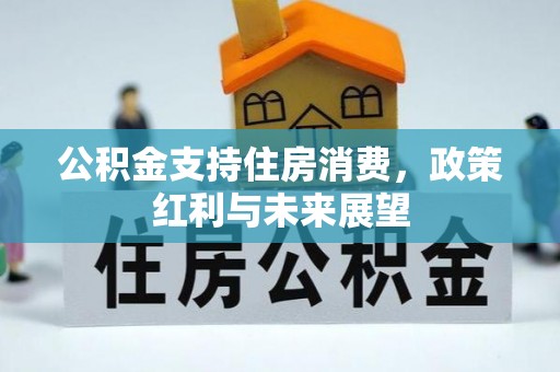龙陵公积金支持住房消费，政策红利与未来展望