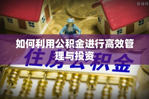 龙陵如何利用公积金进行高效管理与投资